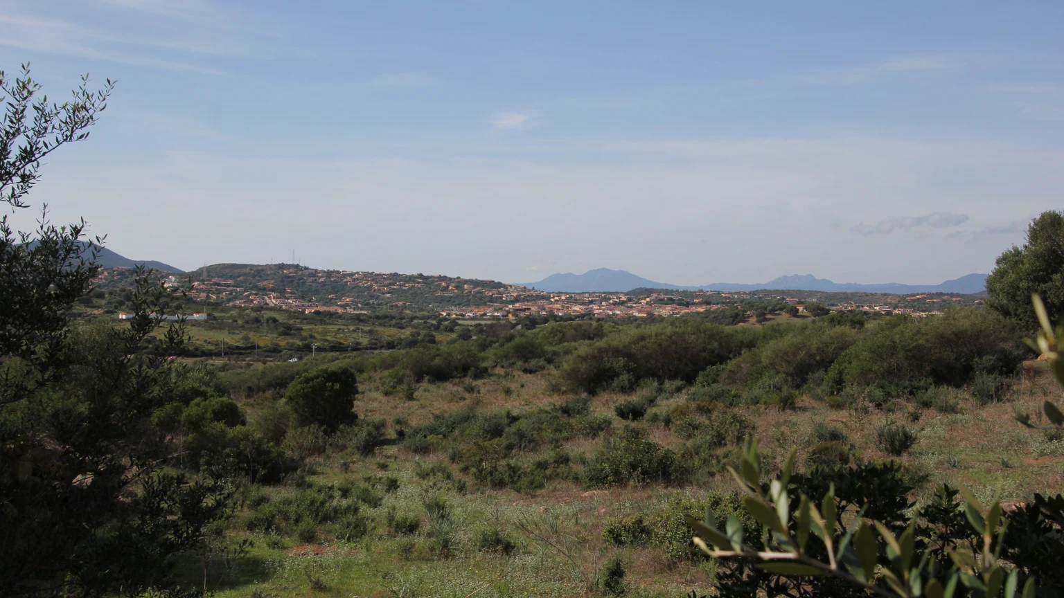 San Teodoro, Lu Fraili ricorda il fabbro e Suaredda la piccola sughera: cosa raccontano i nomi delle borgate