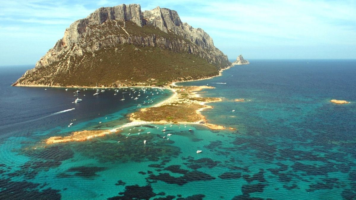 Alla scoperta dell’Area Marina Protetta Tavolara di San Teodoro