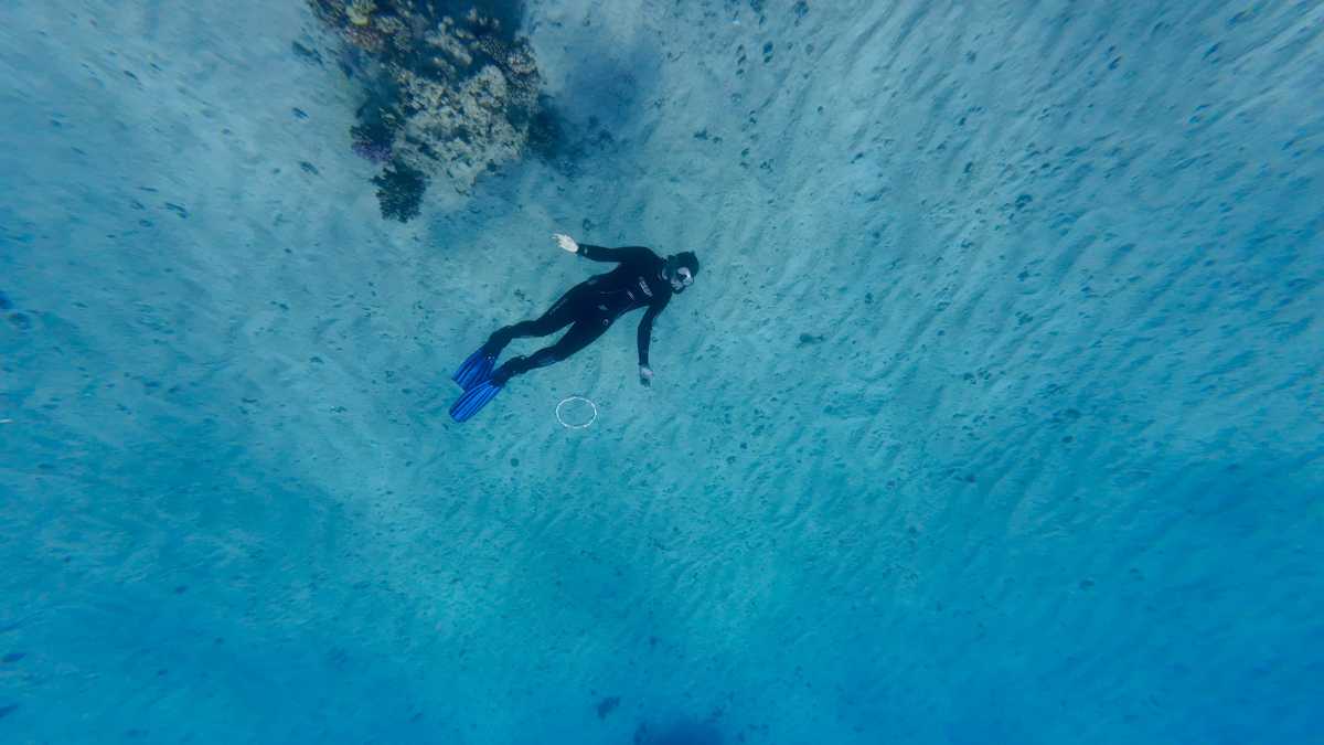 San Teodoro: escursioni subacquee tra snorkeling e diving