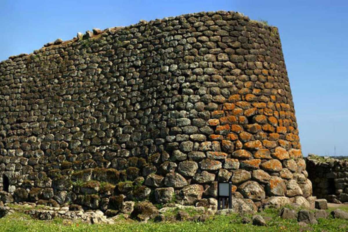 Primo piano di fenicotteri rosa nella laguna di San Teodoro, riflessi sull’acqua, ambiente naturale incontaminato
